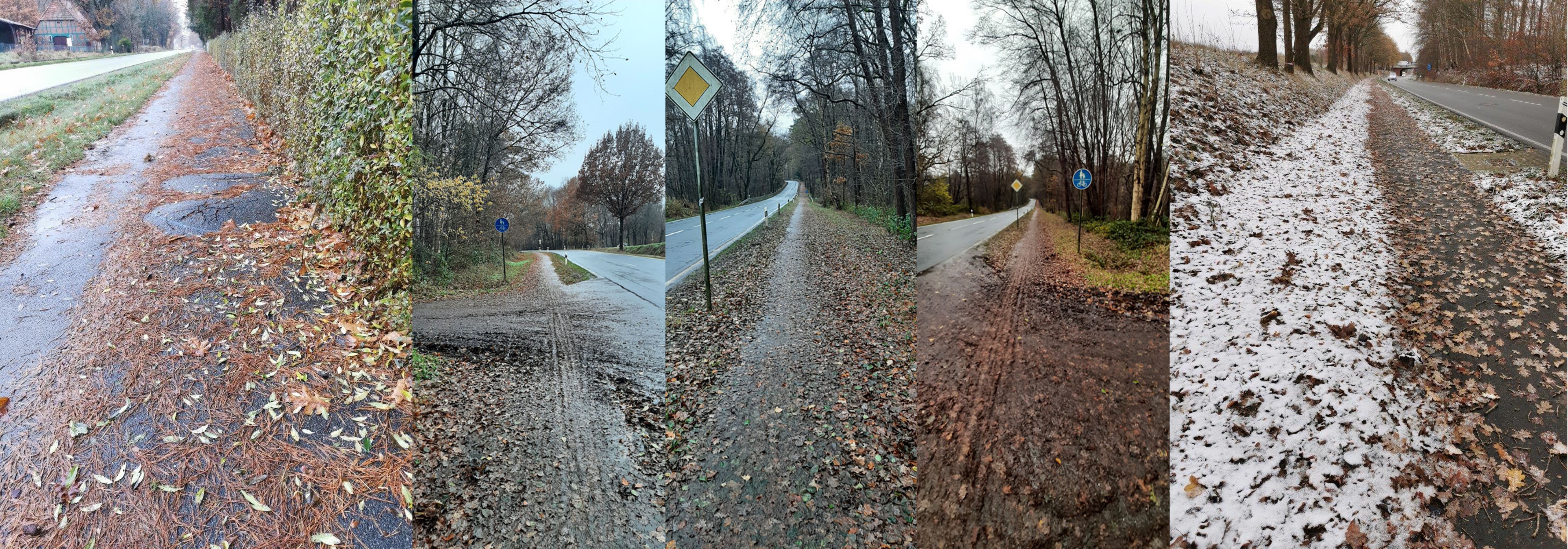 Laubverschmutzte Fahradwege